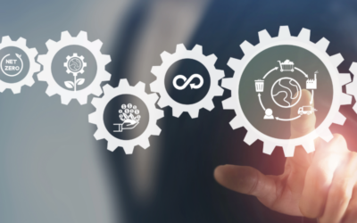 La cadena de valor: Una brújula para el éxito emprendedor